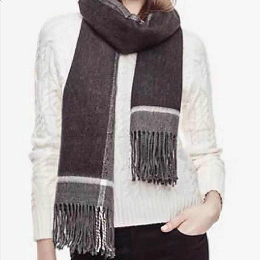 Ann Taylor Border Fringe Blanket Scarf 31” x 76” 417016